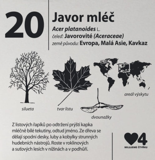 arboretum Pankrác 3 thumbnail