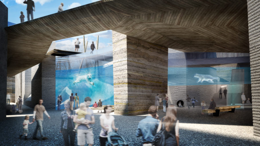 medvedi-03_KTO thumbnail